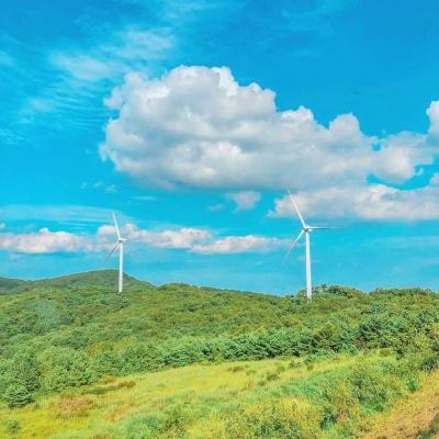 填色游戏数字画画小游戏下载